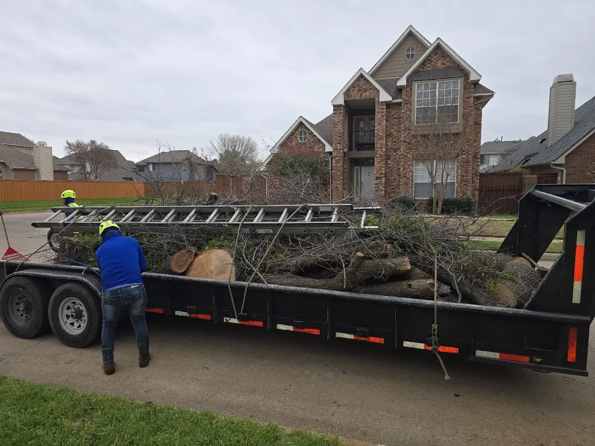Expert Tree Pest Control with proper safety equipment in George